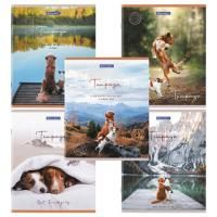 Тетрадь 48л А5 клетка Best Friends BRAUBERG 10/100 Тетрадь 48л А5 клетка Best Friends BRAUBERG 10/100