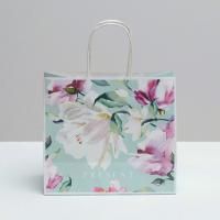 Пакет подарочный бумажный (25х22x12) крафтовый Present 1/300