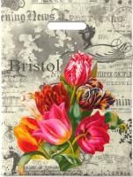 Пакет с вырубной ручкой (30х40)-30 Бристоль 50/1000