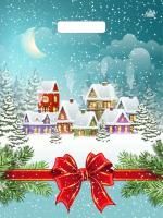 НГ Пакет с вырубной ручкой (31х40)-60 Снежный город 50/500