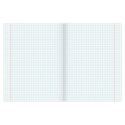 Тетрадь 48л А5 клетка блестки Прекрасные цветы BRAUBERG 10/80 Тетрадь 48л А5 клетка блестки Прекрасные цветы BRAUBERG 10/80