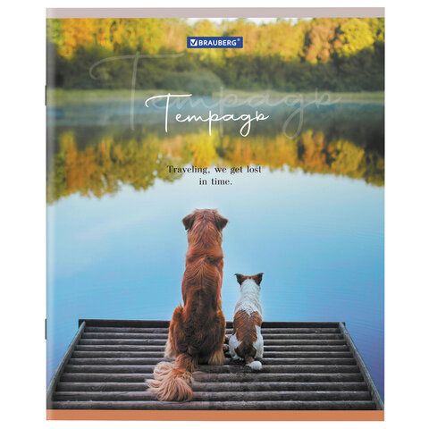Тетрадь 48л А5 клетка Best Friends BRAUBERG 10/100