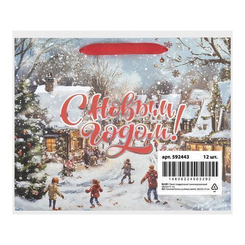 НГ Пакет подарочный бумажный (26х32х13) ассорти Winter Wonderland 1/12/144