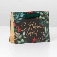 НГ Пакет подарочный крафтовый (15х12x5,5) Волшебный праздник 1/1000 НГ Пакет подарочный крафтовый (15х12x5,5) Волшебный праздник 1/1000