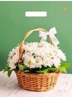 Пакет с вырубной ручкой (31х40)-60 Идеальный подарок Тико 50/500