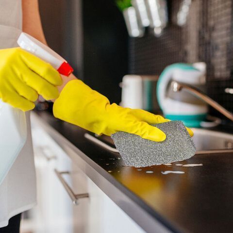 Губка бытовая (2шт) 115х78х28мм поролон в металлизированной оплетке Лайма 1/54 (клиент)